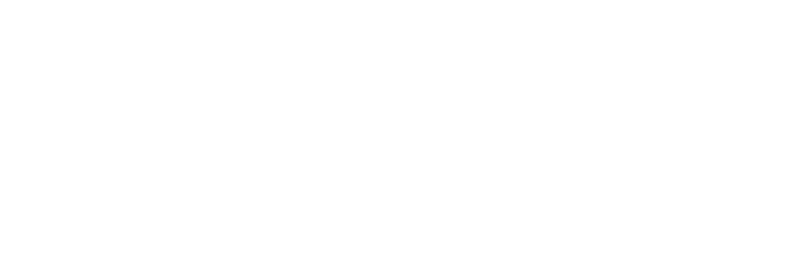 the talent co logo slim